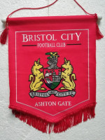 /album/bristol/bristol-city-fc-35-jpg/